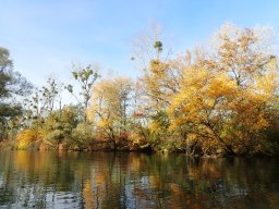 November 2025 - Wintersdorf